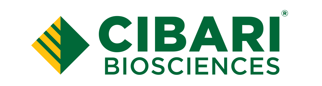 Cibari